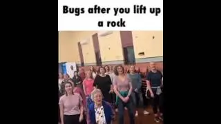 bugs after you lift up a rock- meme