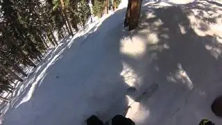 Telluride Tree Skiing: GoPro HD