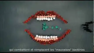 GUM PerioBalance - France