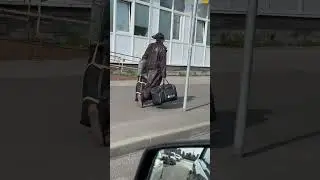 Джек воробей вышел на работу
