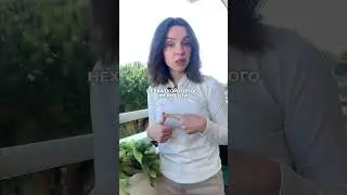 Из - за чего газы и вздутие?! 