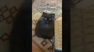 pov:едешь с девушкой на отдых