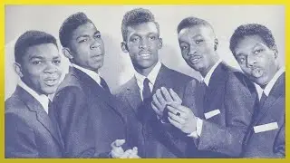 The Royaltones - Latin Lover