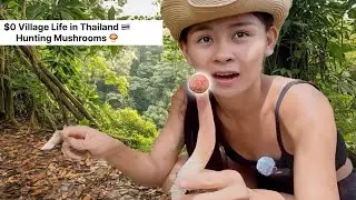 My Village Life in Thailand – Hunting Mushrooms & Wild Fruits 