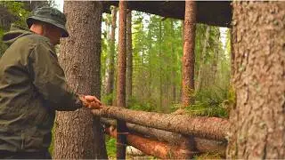 Alone in the Woods: Building a Predator-Proof Shelter Deep in the Forest