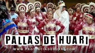 Pallas de Huari - Asunción en advocación a Mama Huarina - Día central 4k