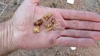 GOLD SPECTACULAR QUEENSLAND GOLD  PART 2
