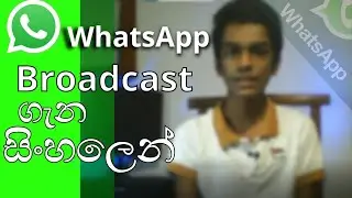 WhatsApp Broadcast explain in sinhala | Osheen Tech