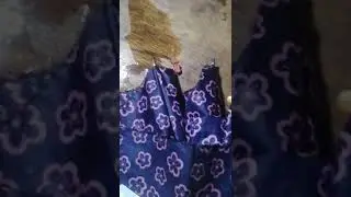 Cutting the Watermelon | no copyright | preparing for party