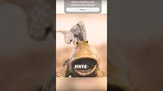 When Scientists Mix Cameras Into Animals.🤣#shorts