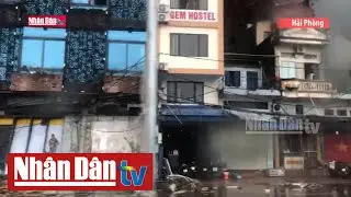 Đảo Cát Hải thiệt hại gần 5 nghìn ngôi nhà sau bão số 3 | Cụm tin Thiên tai