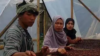 pengolahan pasca panen ķopi arabika ala kesek kopi