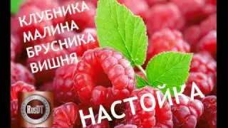 НАСТОЙКИ. МАЛИНА, КЛУБНИКА, БРУСНИКА, ВИШНЯ. Часть 1.