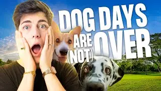 Atividades com seu Dog: Aprenda Inglês Enquanto se Diverte | Fluency Inglês