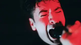 Programmable Animal - Backstabber (Official Video)