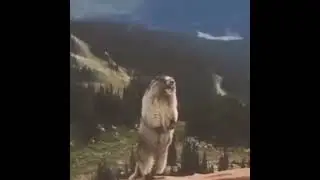 Не надо кричать пожалуйста