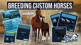 Breeding Custom Horses in Star Stable!