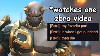 What an Average Zbra enjoyer looks like (Overwatch 2)