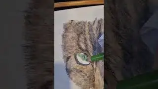 Киса пастелью