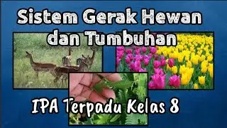 SISTEM GERAK PADA HEWAN DAN TUMBUHAN