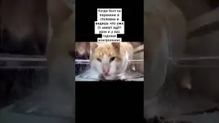 #рекомендации