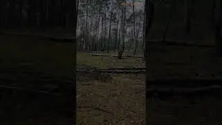 DEMOGORGAN caught on camera [SCARY] #shorts