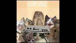 All for you - Greenhouse