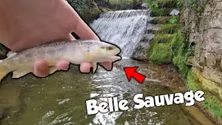 Ce spot est rempli de TRUITES ! (Pêche de la truite au bouchon)