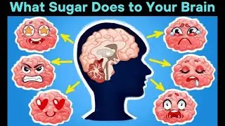 What Sugar Does to Your Brain | Health Video
