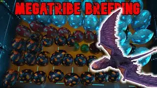 MegaTribe Life #21 - Breeding TIPS  | GONG GONG | Ark Official PvP  🍭
