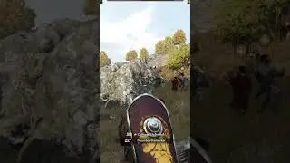 THIS HORSE WANTED TO FLY 