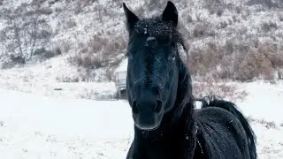 Winter in Asheville