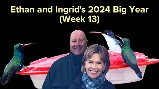 Ethan and Ingrid's 2024 Big Year (Week 13)