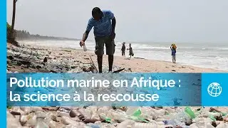 Du poisson, pas de plastique – Pollution marine en Afrique : la science à la rescousse