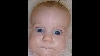 13703683 844273892342607 2088079209 n