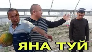 ОХУНОВ ТВНИ ТУЙГА АЙТИБ КЕЛИШДИ ТЕЗ КУНДА ТУЙ