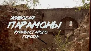 Руины старого города (Парамоны, Ростов-на-Дону) // СМЫСЛ.doc