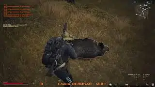 Stay Out . Сталкер онлайн . То поганка то звездовик вот это грибной день .