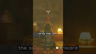The Gerudo VIOLATED Me in Tears of the Kingdom
