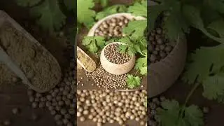 Թարմ գինձը թունավո՞ր է