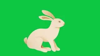 Rabbit jumping green screen