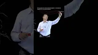 Вячеслав Дубынин \ Мышечные клетки 