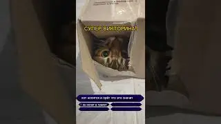 #глобальныерекомендации