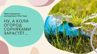 887. Прополка... Берегите спину.