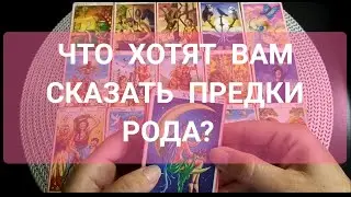 ЧТО ХОТЯТ ВАМ СКАЗАТЬ ПРЕДКИ РОДА❓ СМОТРИТЕ НА ВСЁ ПОЗИТИВНО❗❗❗🎁🔥