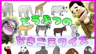どうぶつなきごえクイズ