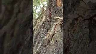 Кто это? 