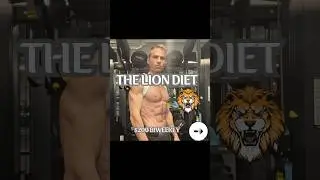 The Lion Diet Daily Meal 