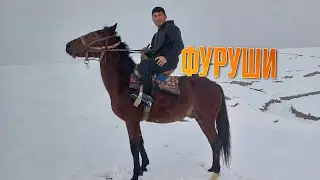 Аспи бузи  ФУРУШИ  👍👍👍