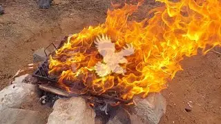 KHAG SHABAI'OTH (The Feast of Weeks)  #EXODUS2023